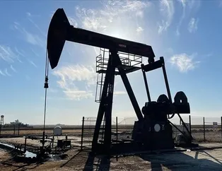 TPAO Şırnak için 150 kişi arıyor