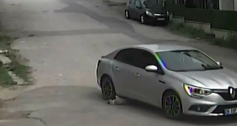 sakaryada-dehset-veren-olay-otomobiliyle-yolda-yatan-kopegin-uzerinden-gecti-1714767303325.jpeg Sakarya'da dehşet veren olay! Otomobiliyle yolda yatan köpeğin üzerinden geçti-2