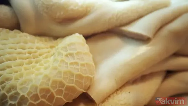 Hem gençleştiriyor hem de kanserin önüne set çekiyor bulduğunuzda kaşık kaşık yiyin! Gecelerin yargıcı olarak biliniyor - 1