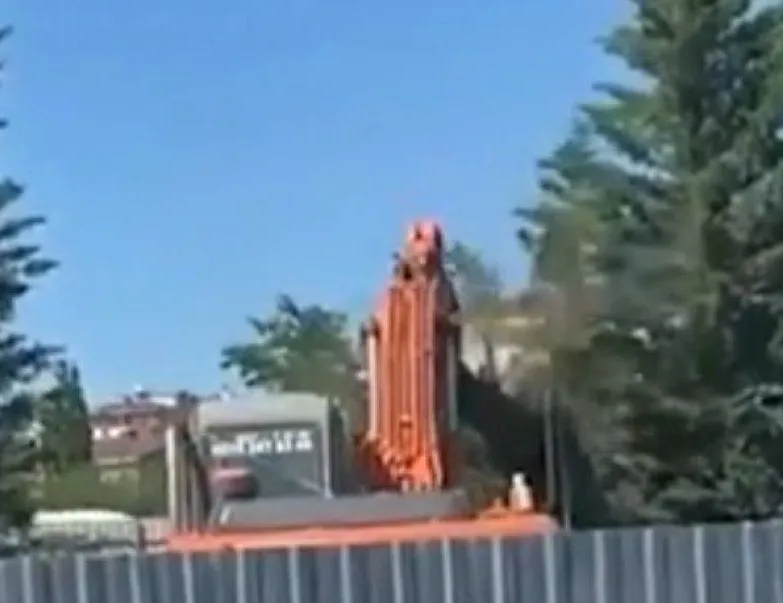 CHP’li İBB’den ağaç katliamı