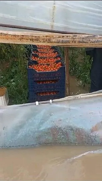 Antalya'da sel: Şiddetli yağış su baskınlarına neden oldu-1