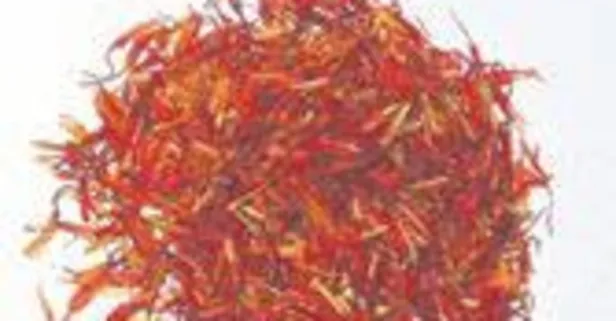 Alzheimer’a karşı koruyan safranın faydaları nelerdir?