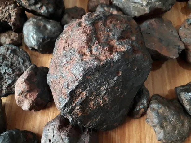 Tarlada buldu 1 milyon liraya satıyor-7