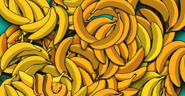 Resimdeki muzların arasındaki gizli yılanı 5 saniyede bulan zeka küpü: İşte IQ'nuzu test eden optik illüzyon