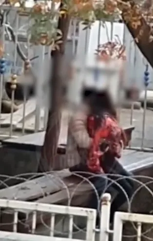 Bu ne rezalet! Bebek'teki cinsel ilişki skandalı sonrası Pendik'te bir parkta uygunsuz görüntüler