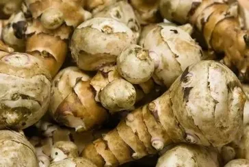 Ömürsün yer elması