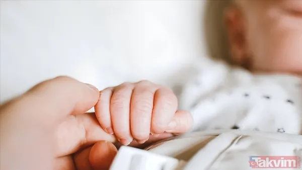 Doğurganlığı Destekleyen Örnek İçerik Yapısı Besin Grubu Önemli Kaynaklar Sağladığı Fayda Hayvansal Protein Kırmızı Et, Tavuk, Sakatat Demir Ve B12 Takviyesi...