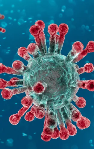 Koronavirüste ikinci dalga görülecek mi?