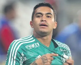 Dudu için yeni girişim