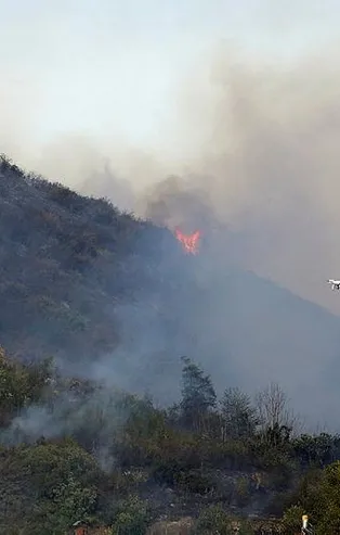 Trabzon'un Maçka ilçesinde ormanlık alana sıçrayan yangın kontrol altına alındı