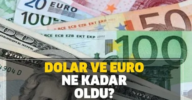 Dolar ve euro hafta sonu ne kadar oldu? 14 Aralık canlı dolar ve euro alış satış fiyatı nedir?