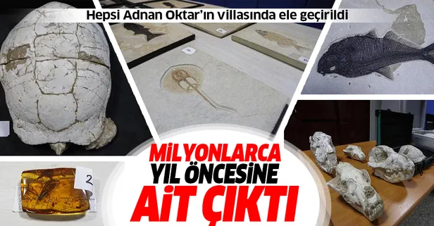 Adnan Oktar'ın villasında ele geçirilmişti! Milyonlarca yıl öncesine ait çıktı