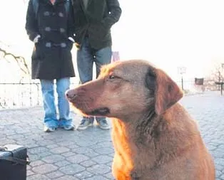 Tarçın’ın heykeli Moda’ya dikilecek