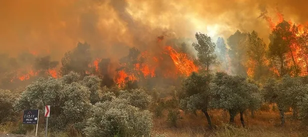 Valilikten orman yangını uyarısı