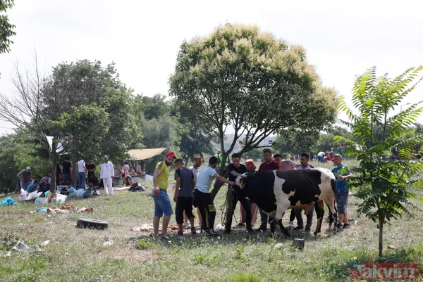 "Bu alanda kesim yasak" afişinin altında kaçak olarak kurban kesimi yaptılar - 21