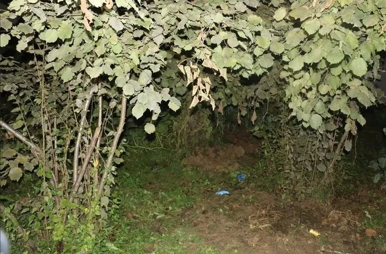 Ordu'da kan donduran bebek vahşeti! 2 günlük bebeğini fındık bahçesine gömdü: Mahkeme kararını verdi-4