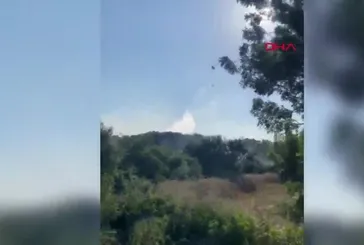 Edirne Uzunköprü'de orman yangını!