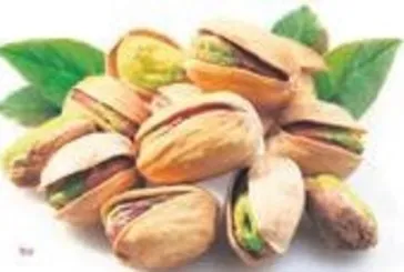Böbreklere Antep fıstığı