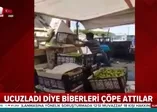 Domatesten sonra ucuzladı diye biberleri de çöpe attılar