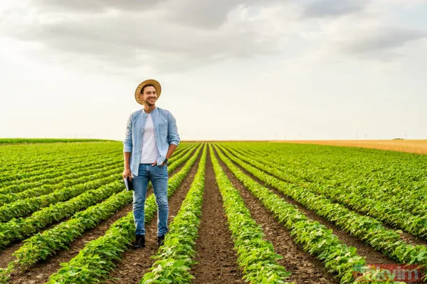 İşletme kiralayana, hayvan alacaklara, sera yapacaklara müjde! 1 milyon TL genç çiftçi kredisi! 'Köye gidip iş kurcam' diyene devletten para fışkırıyor! - 16
