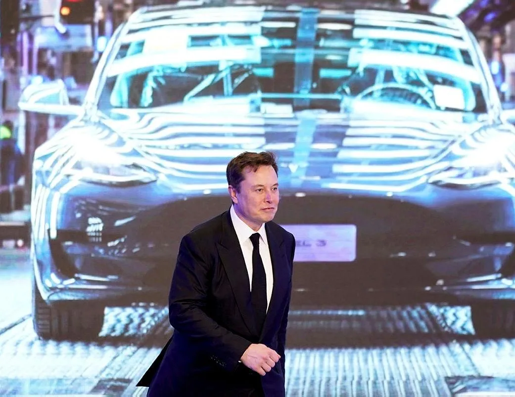 92 hektarlık ormanı yok edecek