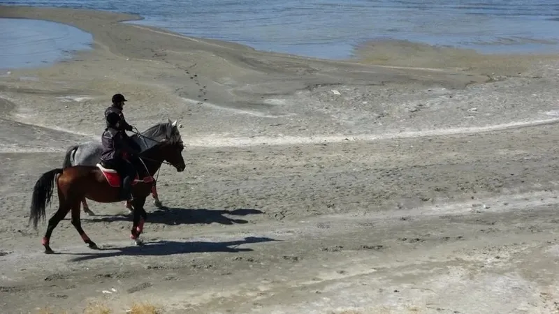 kayip-rojin-kabais-bulundu-mu-vanda-kaybolan-rojinden-haber-var-mi-son-durum-ne-cep-telefonu-su-sisesi-detayi-1727689651206.jpeg (Kaynak: DHA)