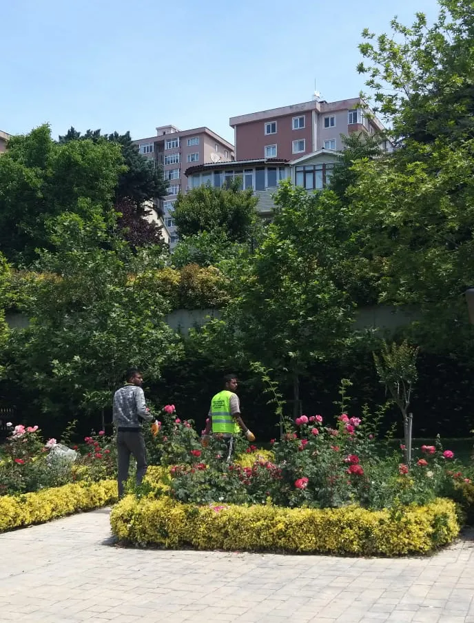 İstanbul Büyükşehir Belediyesi kaçak ve sigortasız işçi çalıştırıyor - 5