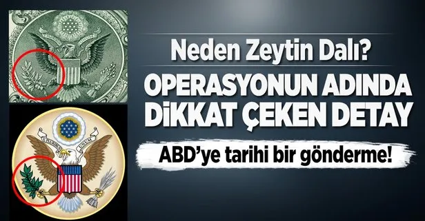 Operasyonun adında ABDye tarihi mesaj