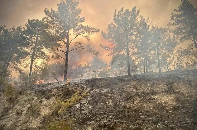 Toplu orman yangınları sonrası PKK'yı aklamak için bin takla attılar!