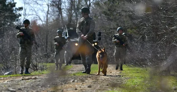 Yunanistan'a kaçarken yakalanan FETÖ şüphelisi tutuklandı