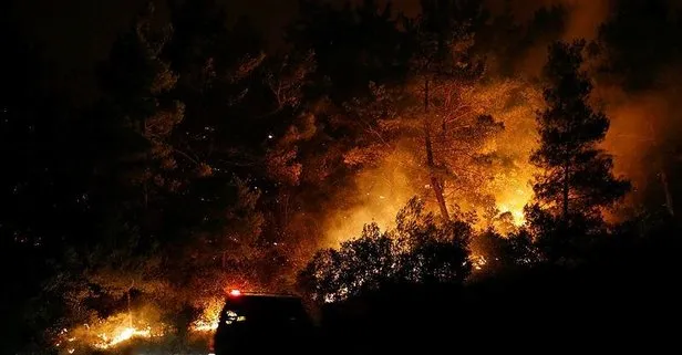 Bakan'dan açıklama: 4 yangınla mücadele ediyoruz