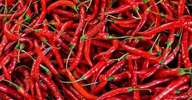 Acı biber tatlı aşk