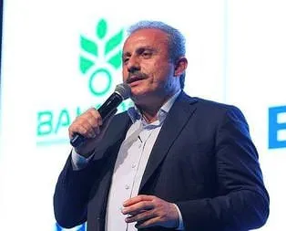 Suriyelilere vatandaşlık açıklaması