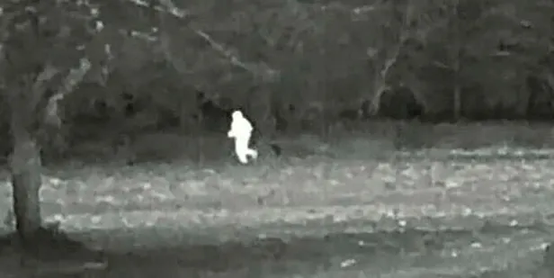 bingolde-uyusturucu-saticilari-termal-kamerayla-yakalandi-1578422228943.jpeg Bingöl'de uyuşturucu satıcıları termal kamerayla yakalandı-1