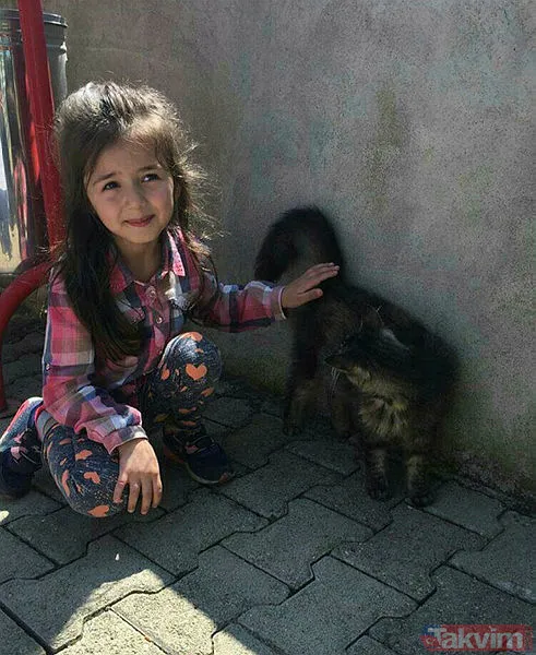 İcilli Köyüne Bağlı Kıran Mahallesi'nde Evinin Yakınındaki Bahçede Cumartesi Günü 6 Yaşındaki Kardeşi Ve Kuzeni İle Oynayan Nazlı Ve Serdar Tirsi Çiftinin...