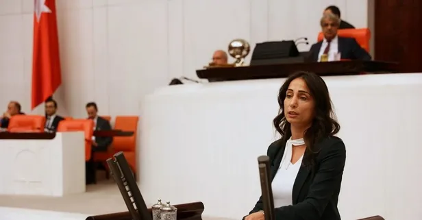 Mehmetçik vurdukça ses DEM Parti Eş Genel Başkanı Tülay Hatimoğulları'ndan geliyor! Öldürülen teröristlere selam çaktı: "Sakinelere, Hevrin Haleflere binlerce kez selam olsun"