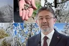 Tarım ve Orman Bakanı İbrahim Yumaklı'dan zirai don açıklaması: Hasar tespitinden sonra paraları hemen verilecek