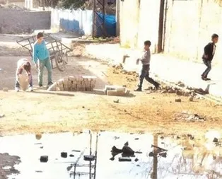 Hainler bu kez çocukları kullandı