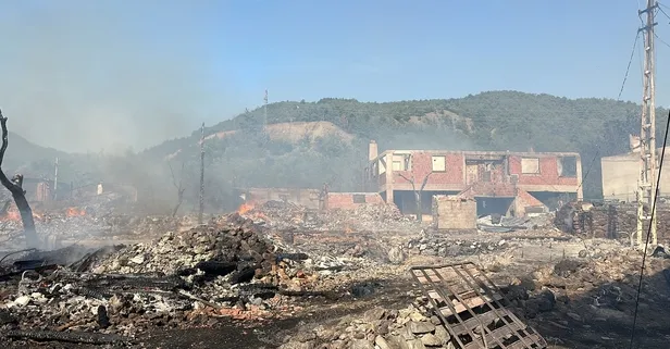 Kastamonu’da korkunç köy yangını! Mahalledeki 12 ev ve 4 hayvan yandı | Muhtardan isyan:  Bir tane itfaiyemiz yok!