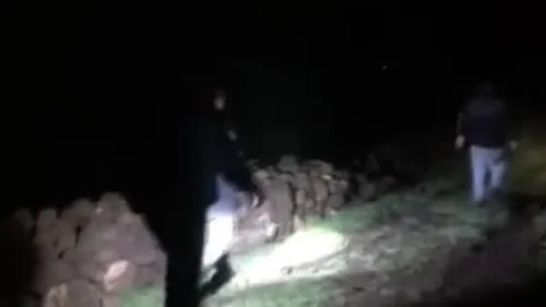 Kars’ta hayvan otlatmaya giden 12 yaşındaki Tarık Altun kayboldu: Arama çalışmaları sürüyor