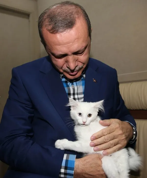 son-dakika-emine-erdogan-kopekleri-leblebi-ile-birlikte-baskan-recep-tayyip-erdogani-ugurladigi-fotograflari-paylasti-1609234193599.jpg