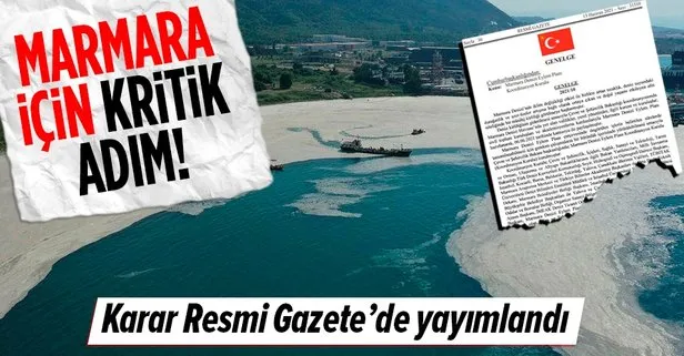 Son dakika: Karar Resmi Gazete’de yayımlandı! Marmara Denizi Eylem Planı Koordinasyon Kurulu kuruldu