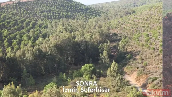 CHP ve yandaşı medyanın yangınlar üzerinden kirli algı oyunu çöktü: 'Otel yapacaklar' dedikleri alanlar tek tek yeşillendirildi - 22