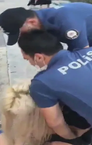 Kadıköy'deki maske tartışmasında flaş gelişme! Valilik: Polisler görevlerine iade edildi