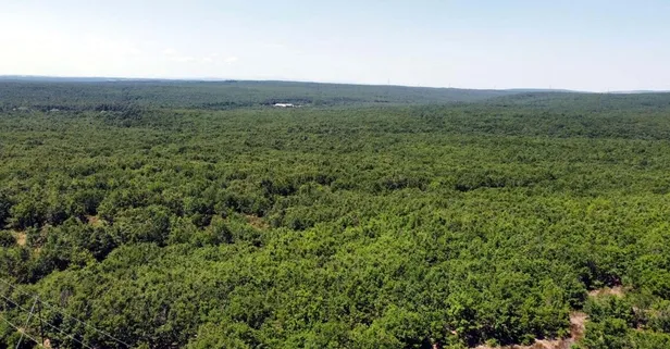 8 gündür adım adım aranan Şehmus'tan sevindiren haber! Arkasında böyle iz bırakmış