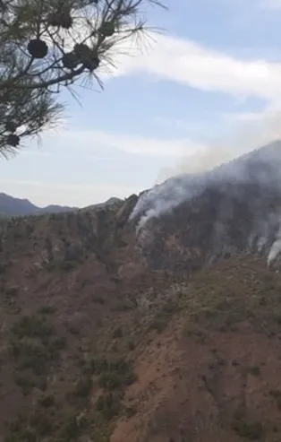 Kahramanmaraş’taki yangının sebebi: Yıldırım