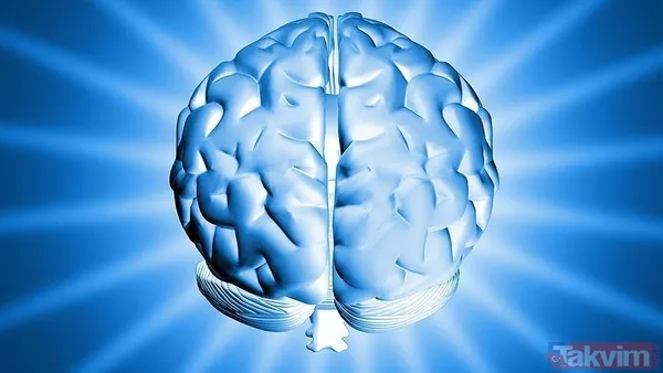 ⏳ 7. Alzheimer Belirtilerden Çok Önce Başlar Dr. Mckee, Alzheimer Hastalığının 40'Lı Ve 50'Li Yaşlarda, Henüz Hiçbir Belirti Görülmeden Başladığını Vurguluyor...