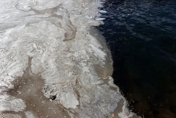 son-dakika-marmara-denizi-musilajla-deniz-salyasi-kaplandi-uzmanlar-uyardi-midye-yemeyin-felc-kalabilirsiniz-1622882650402.jpg SON DAKİKA: Marmara Denizi müsilajla (deniz salyası) kaplandı! Uzmanlar uyardı: Midye yemeyin felç kalabilirsiniz-10