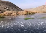 Kars -12'yi gördü, dereler dondu