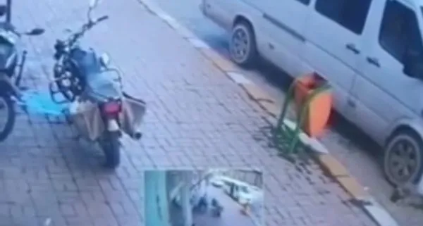 1639002290455.jpg Köpeğin başına gelmeyen kalmadı! Minibüs ezdi sonra dubayla vurdular-2